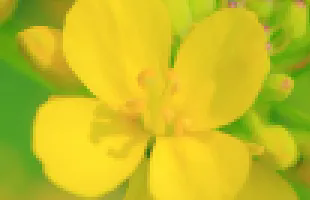 1735803377796266.png 640.webp (6).png