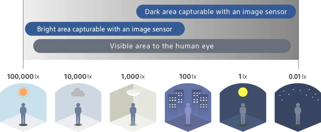 1735803521800911.png 640.webp (5).png