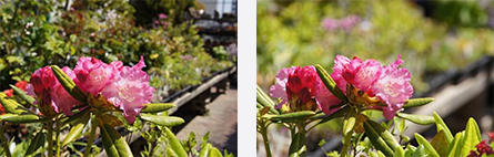 1736999544395952.jpg 00267923_3.jpg