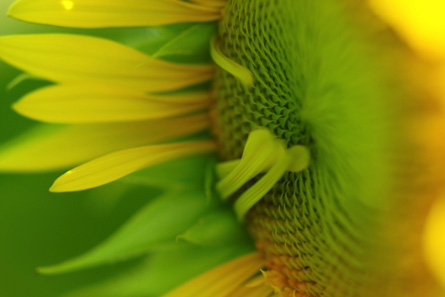 1737085373377938.jpg 6.jpg