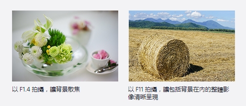 1738748681888231.png 微信截圖_20250205173826.png