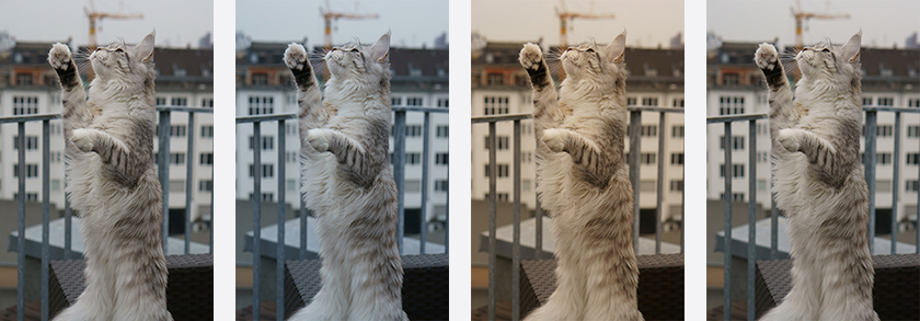 1738829761228817.jpg 00267928_3.jpg