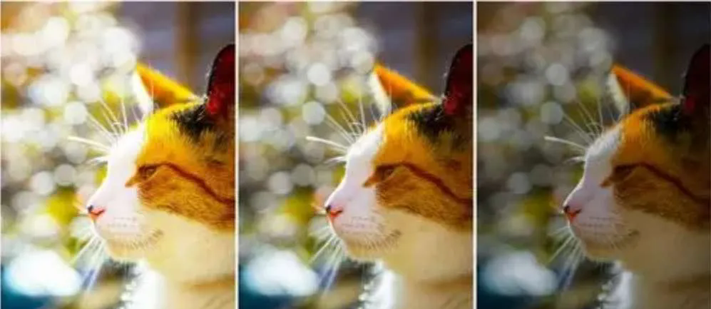 1741837564248966.png 640.webp (2).png