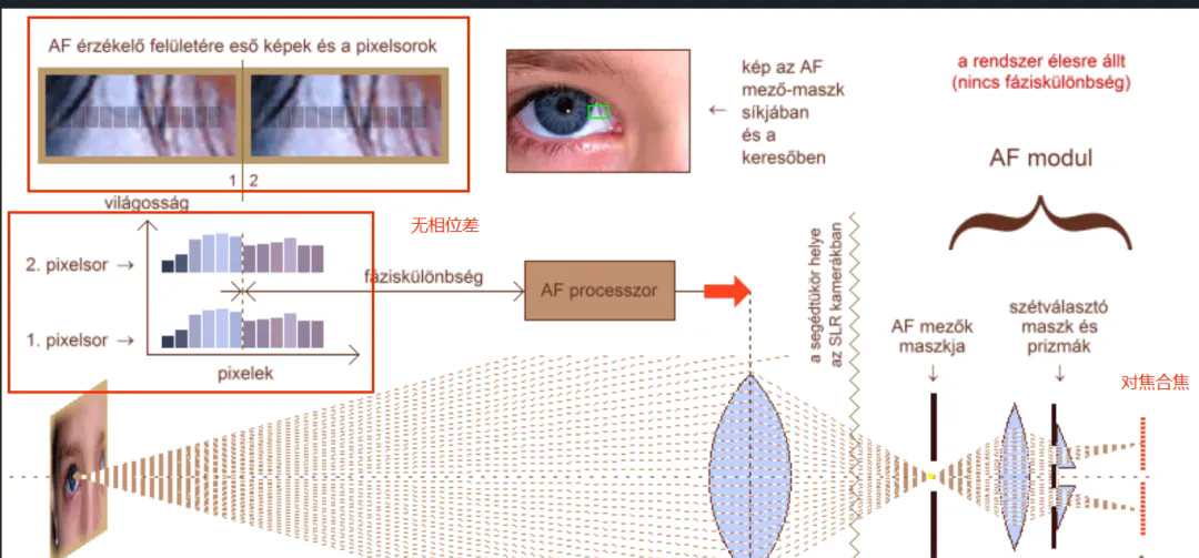 1742887862571558.png 640.webp (2).png