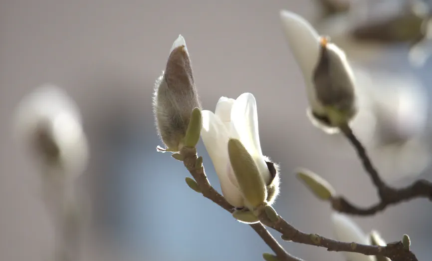 1743408541112657.png 640.webp.png