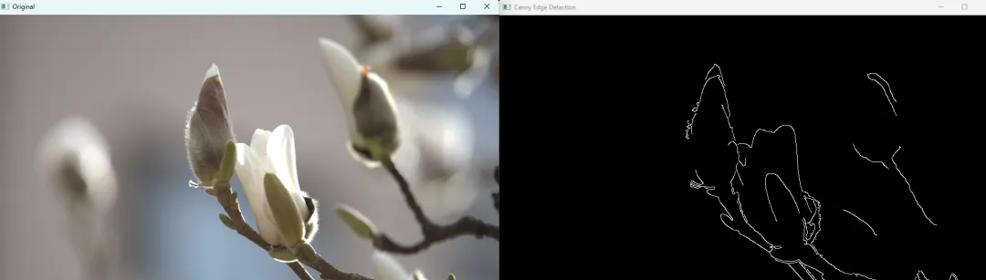 1743408571901802.png 640.webp (1).png