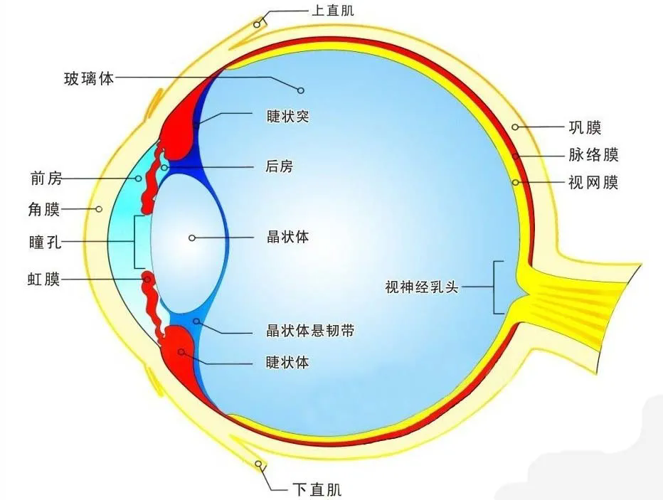 CMOS圖像傳感器技術(shù)及新應(yīng)用
