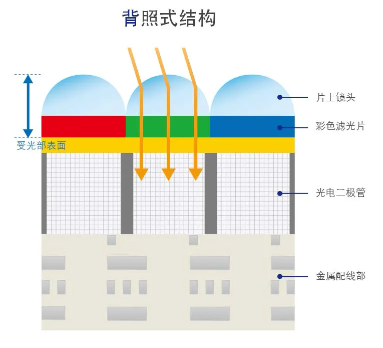 1749537270353057.png 640.webp (3).png