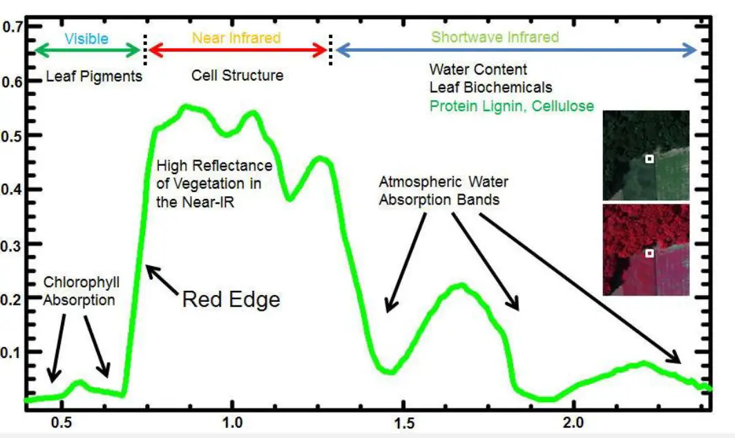 1757317521994153.png 640.webp (2).png